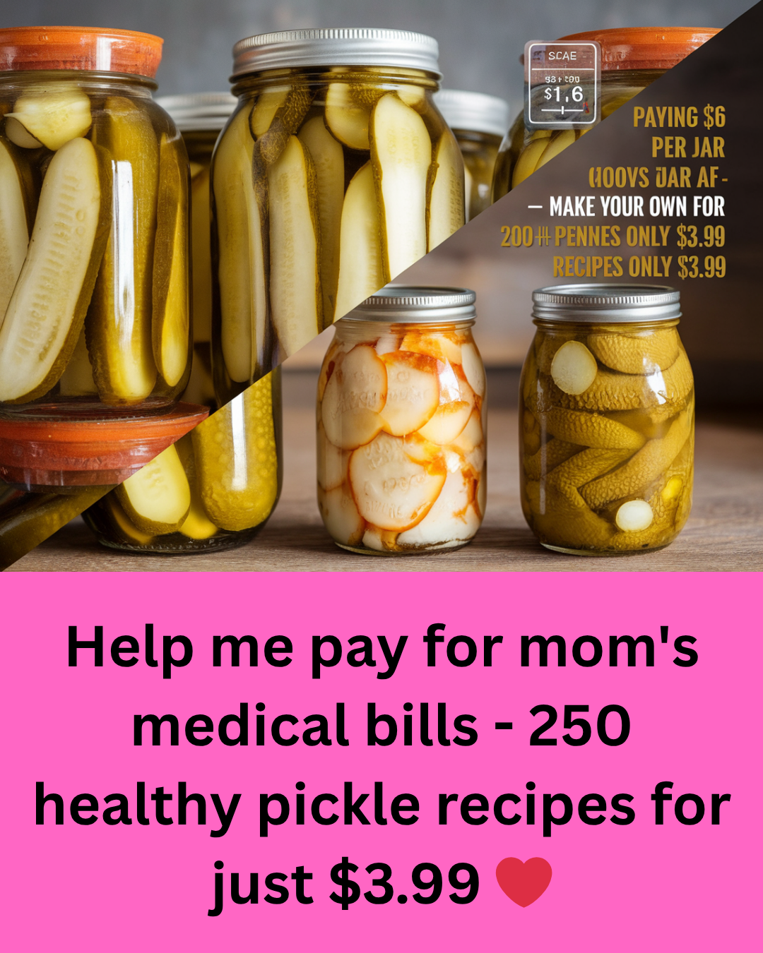 Pickle Cookbook $3.99