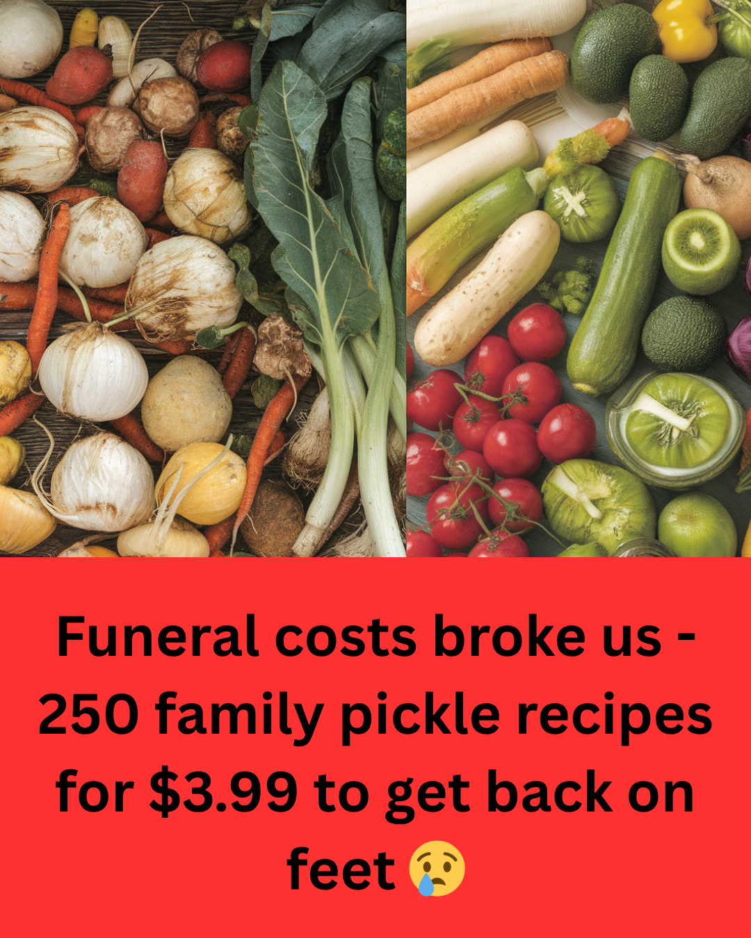 Pickle Cookbook $3.99